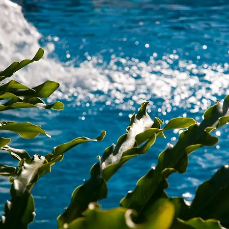 Apartament Piramides *