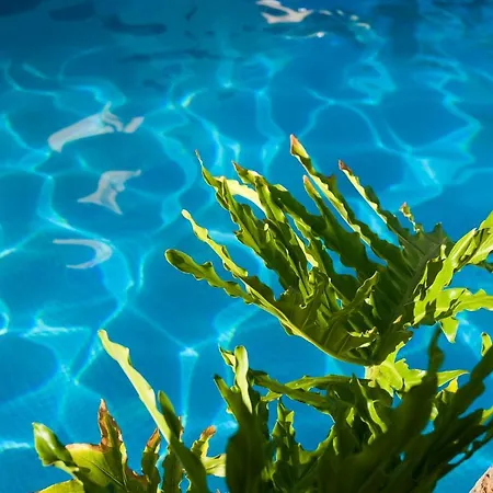 Piramides Costa Adeje (Tenerife)