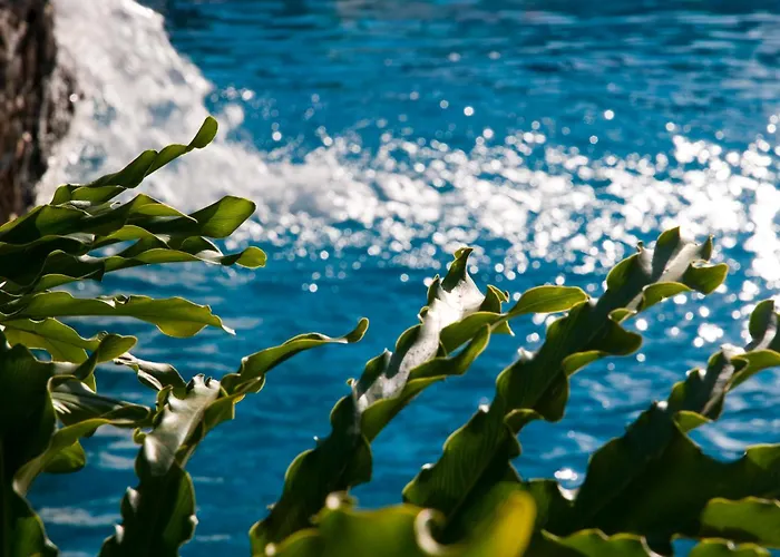 아파트 Piramides *